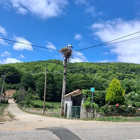 Casa Dos Ramos *