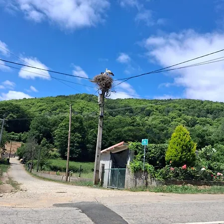 بيت للعطل Casa Dos Ramos